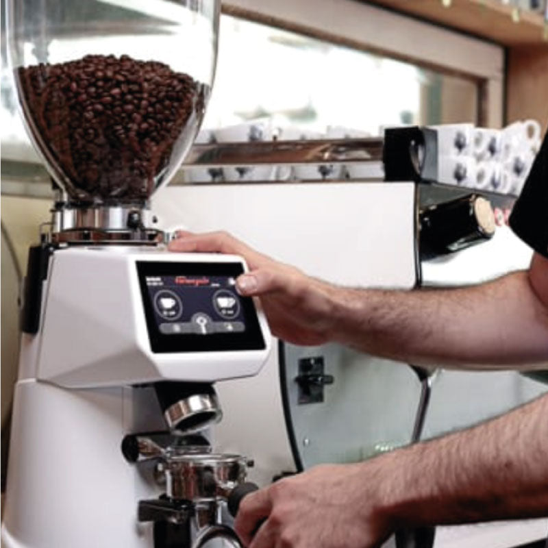 FIORENZATO F64 EVO BLACK