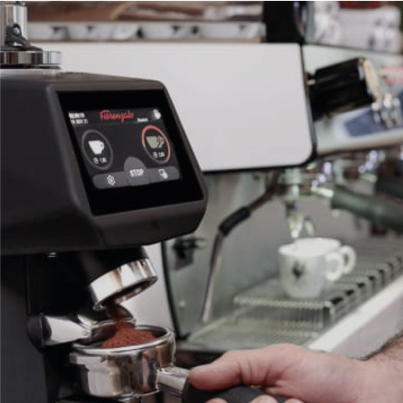 FIORENZATO F64 EVO WHITE