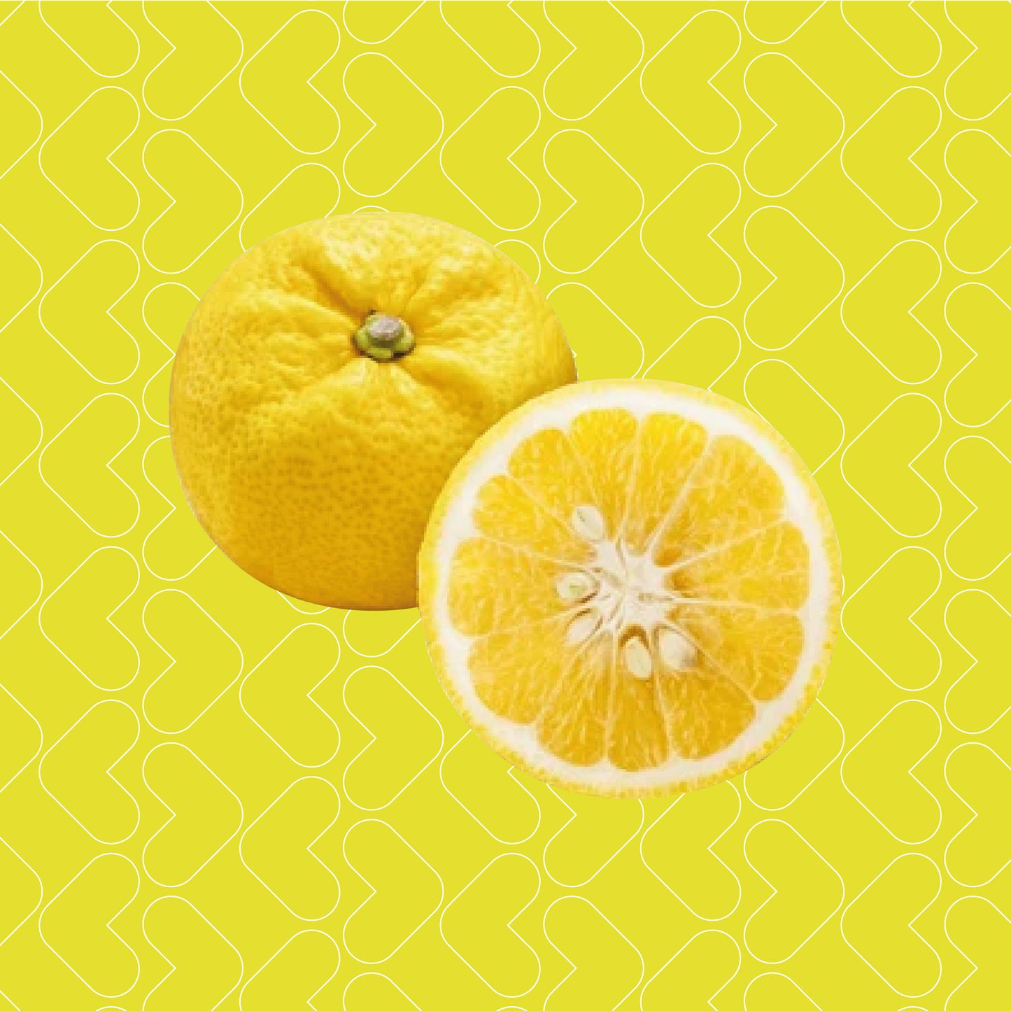 Lesweet Zero Calories Kyushu Yuzu Flavour Syrup 1L Halal