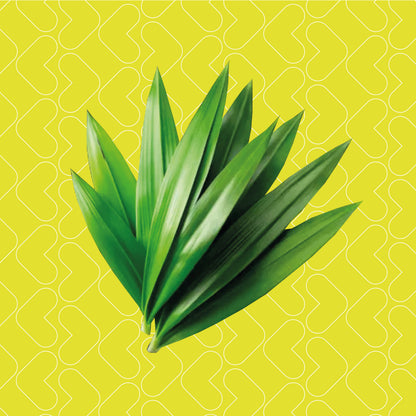 Lesweet 0 Cal Pandan Syrup